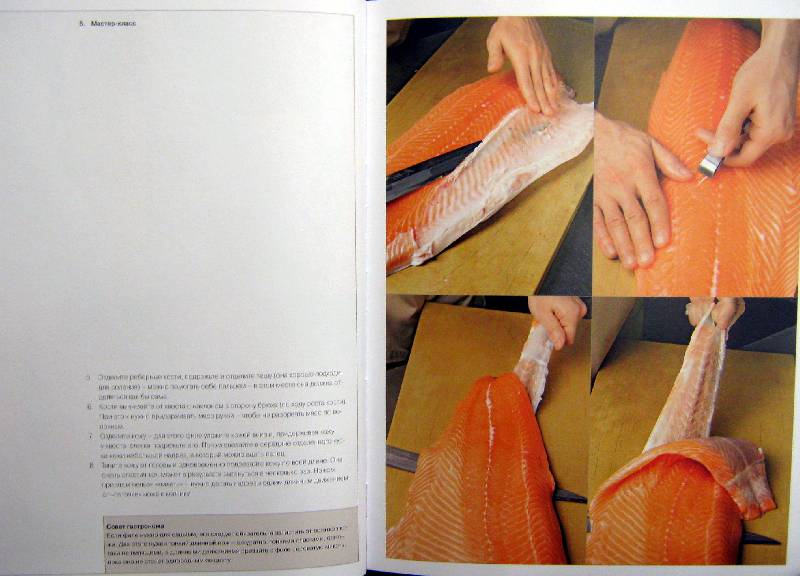 Иллюстрация 7 из 20 для Книга Гастронома Про рыбу - Ирина Мосолова | Лабиринт - книги. Источник: Спанч Боб