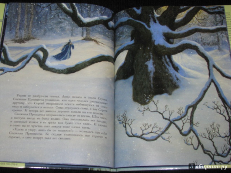 Иллюстрация 28 из 77 для Снежная принцесса - Руф Сандерсон | Лабиринт - книги. Источник: Nemertona