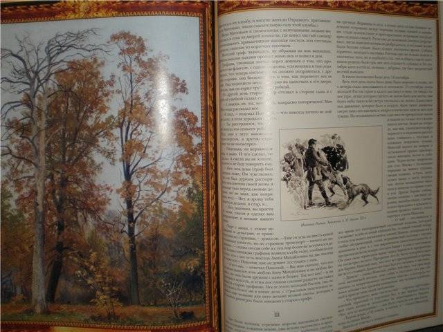 Иллюстрация 16 из 25 для Война и мир - Лев Толстой | Лабиринт - книги. Источник: Гостья