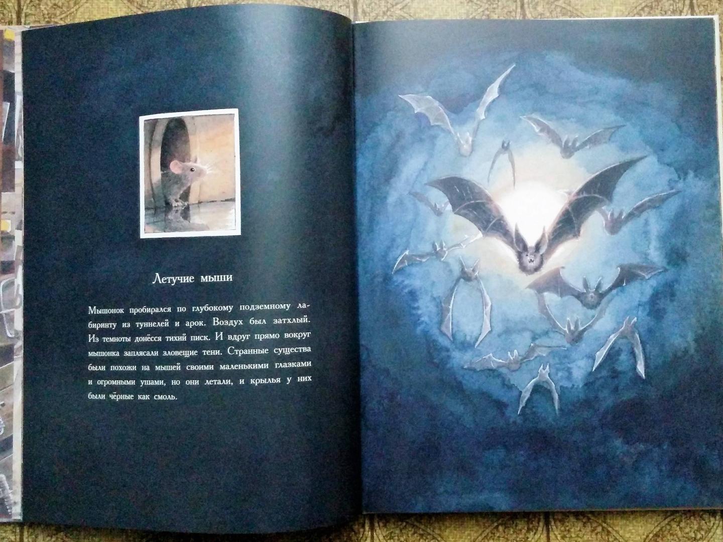 Иллюстрация 121 из 149 для Линдберг. Невероятные приключения летающего мышонка - Торбен Кульманн | Лабиринт - книги. Источник: Natalie Leigh