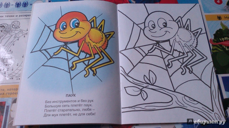 Иллюстрация 4 из 20 для Знаешь ли ты насекомых? - Наталья Томилина | Лабиринт - книги. Источник: Mila