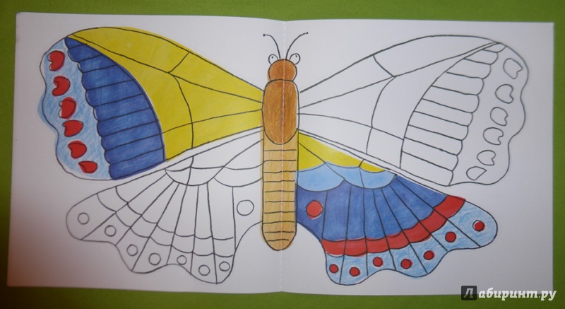 Иллюстрация 60 из 70 для Разноцветная природа - Пито, Жерве | Лабиринт - книги. Источник: reader*s
