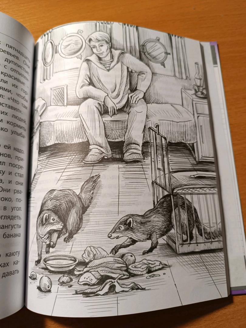 Иллюстрация 44 из 49 для Разиня и другие рассказы - Борис Житков | Лабиринт - книги. Источник: Оксана