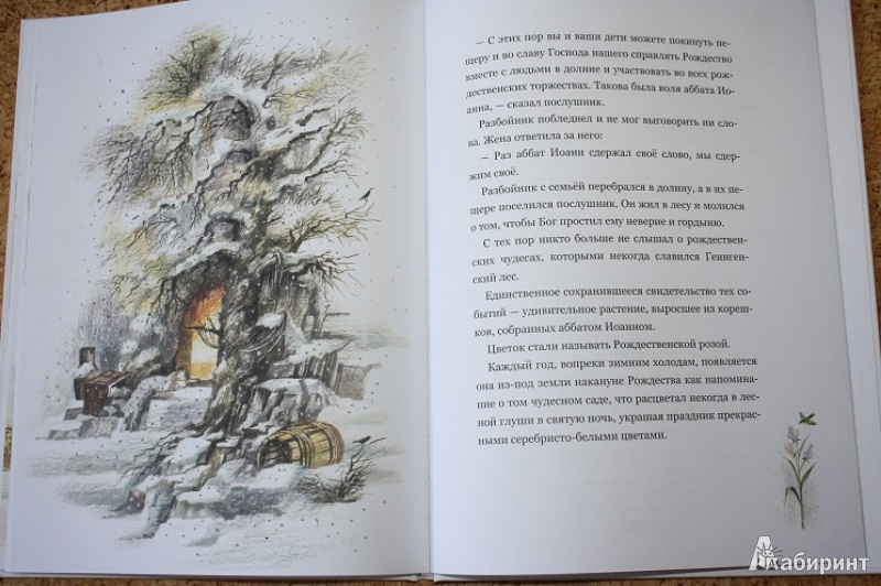 Иллюстрация 42 из 60 для Легенда о Рождественской розе - Сельма Лагерлеф | Лабиринт - книги. Источник: КНИЖНОЕ ДЕТСТВО
