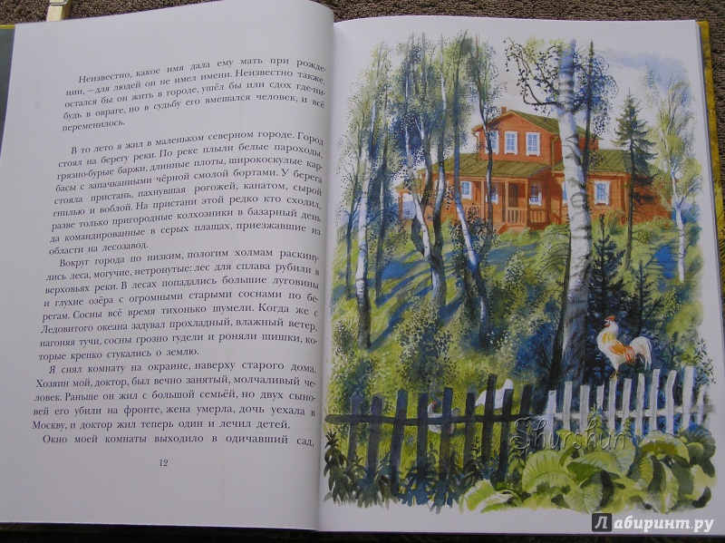 Иллюстрация 40 из 46 для Арктур - гончий пёс - Юрий Казаков | Лабиринт - книги. Источник: Shurshun