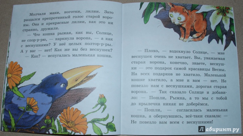 Иллюстрация 13 из 16 для Рыжая сказка - Наталья Абрамцева | Лабиринт - книги. Источник: Книжный кот