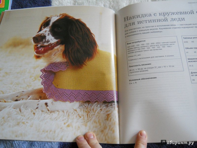 Иллюстрация 12 из 17 для Пальто, кардиганы свитера. Стильная одежда для собак - Анна Тильман | Лабиринт - книги. Источник: kosolapiki