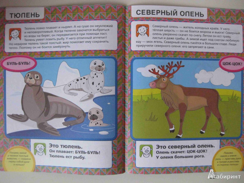 Иллюстрация 10 из 24 для Приходите в зоопарк - Елена Янушко | Лабиринт - книги. Источник: olga12121