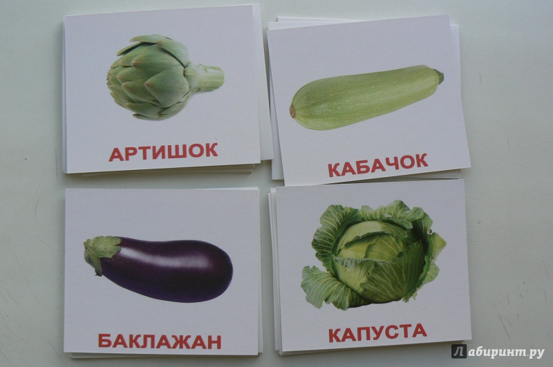 Иллюстрация 7 из 12 для Комплект мини-карточек "Vegetables/Овощи" (40 штук) - Носова, Епанова | Лабиринт - игрушки. Источник: Марина