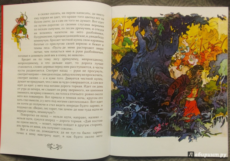 Иллюстрация 41 из 49 для Аленький цветочек - Сергей Аксаков | Лабиринт - книги. Источник: Агаточка