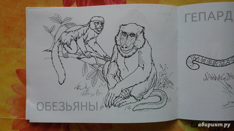 Иллюстрация 9 из 11 для Экзотические животные | Лабиринт - книги. Источник: Лабиринт