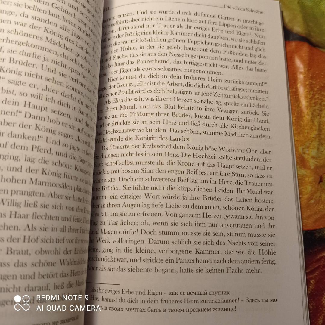 Иллюстрация 27 из 35 для Marchen. Сказки. Книга для чтения с упражнениями (на немецком языке) - Ханс Андерсен | Лабиринт - книги. Источник: SPQR