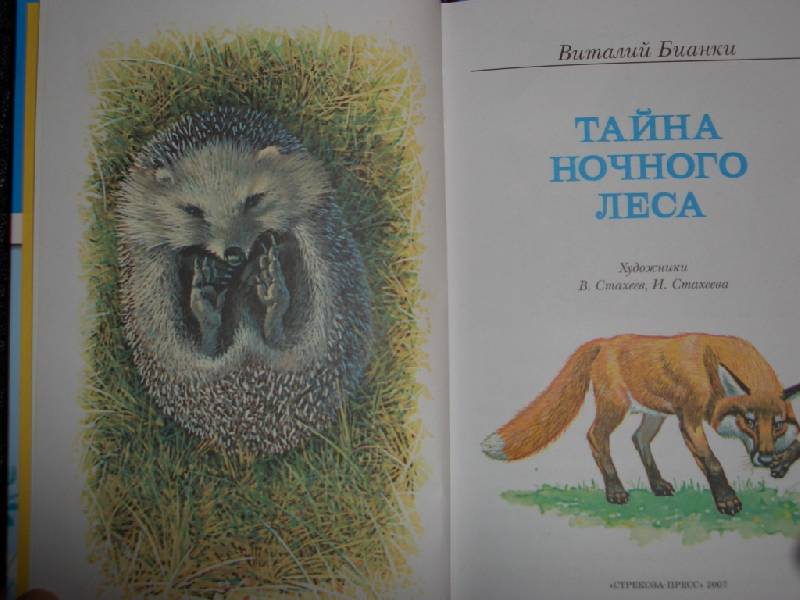 Иллюстрация 1 из 3 для Тайна ночного леса - Виталий Бианки | Лабиринт - книги. Источник: sher