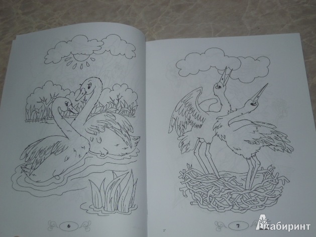 Иллюстрация 4 из 4 для Кто летает всех быстрее: раскраска | Лабиринт - книги. Источник: Iwolga