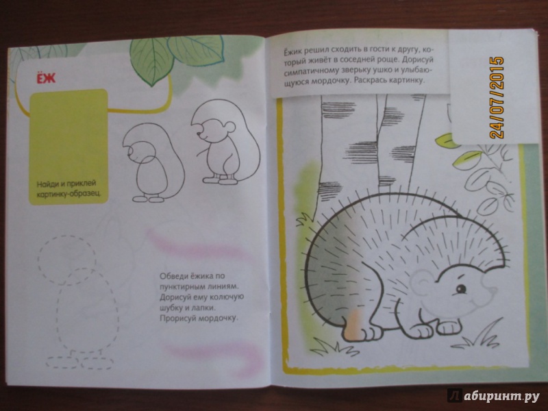 Иллюстрация 7 из 25 для Лесные звери. Дорисуй и раскрась | Лабиринт - книги. Источник: Марина Епифанцева