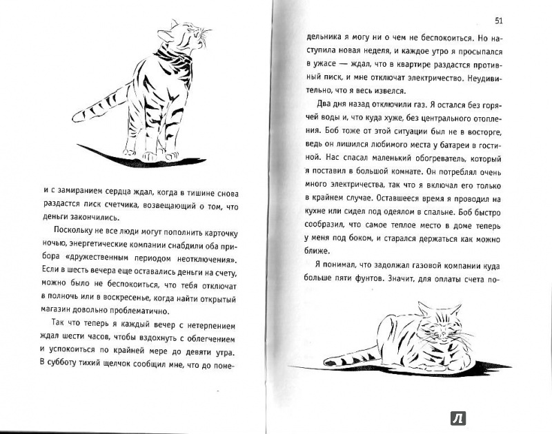 Иллюстрация 8 из 58 для Подарок от кота Боба - Джеймс Боуэн | Лабиринт - книги. Источник: Попова  Ольга