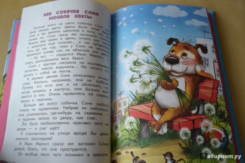 Иллюстрация 6 из 24 для Умная собачка Соня - Андрей Усачев | Лабиринт - книги. Источник: Haruka Sudzumia