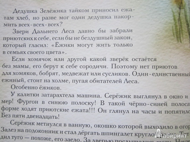 Иллюстрация 69 из 195 для Серёжик - Елена Ракитина | Лабиринт - книги. Источник: teresa