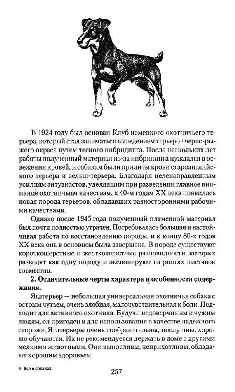 Иллюстрация 18 из 28 для Все о собаках. Вопросы и ответы - Елена Гликина | Лабиринт - книги. Источник: Юта
