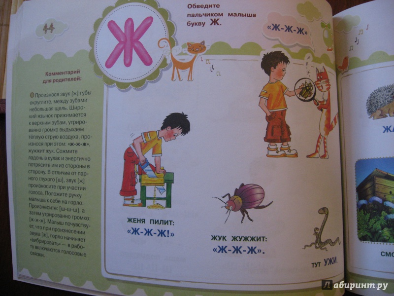 Иллюстрация 2 из 41 для Малыш учится говорить - Олеся Жукова | Лабиринт - книги. Источник: Марина Епифанцева