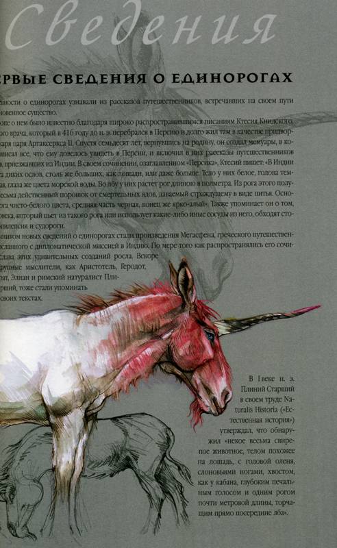 Иллюстрация 18 из 18 для Единороги. Магический мир - Кристина Камбарери | Лабиринт - книги. Источник: Yuka