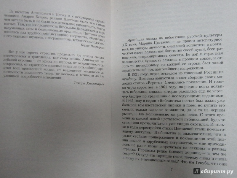 Иллюстрация 4 из 6 для Душа, не знающая меры... - Марина Цветаева | Лабиринт - книги. Источник: )  Катюша