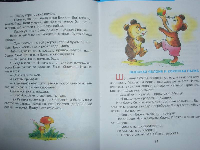 Иллюстрация 5 из 18 для Пять забавных медвежат - Владимир Бондаренко | Лабиринт - книги. Источник: sher