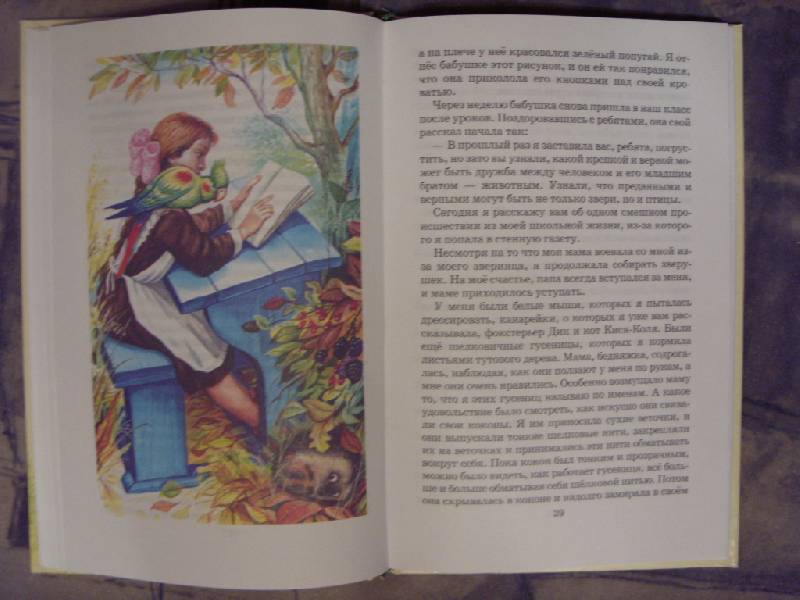 Иллюстрация 12 из 15 для Домашний зоопарк - Лия Гераскина | Лабиринт - книги. Источник: Золотая рыбка