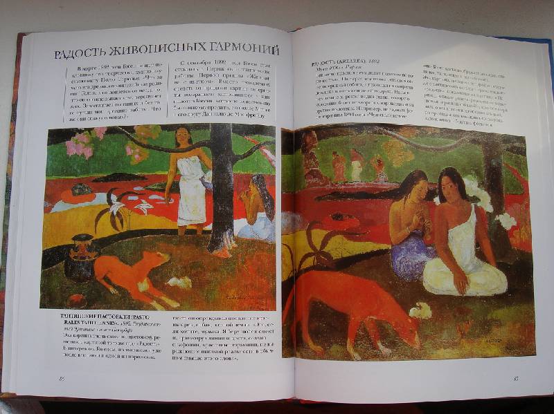 Иллюстрация 9 из 10 для Гоген - Яна Иванченко | Лабиринт - книги. Источник: С. Ната Ю.