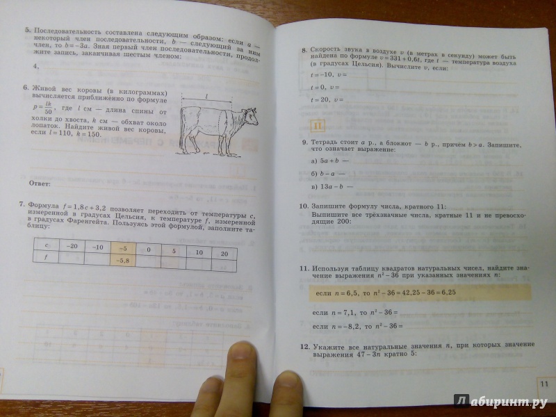 Иллюстрация 7 из 35 для Алгебра. 7 класс. Часть 1. Рабочая тетрадь к учебнику Ю.Н. Макарычева. - Миндюк, Шлыкова | Лабиринт - книги. Источник: Архипова  Марина