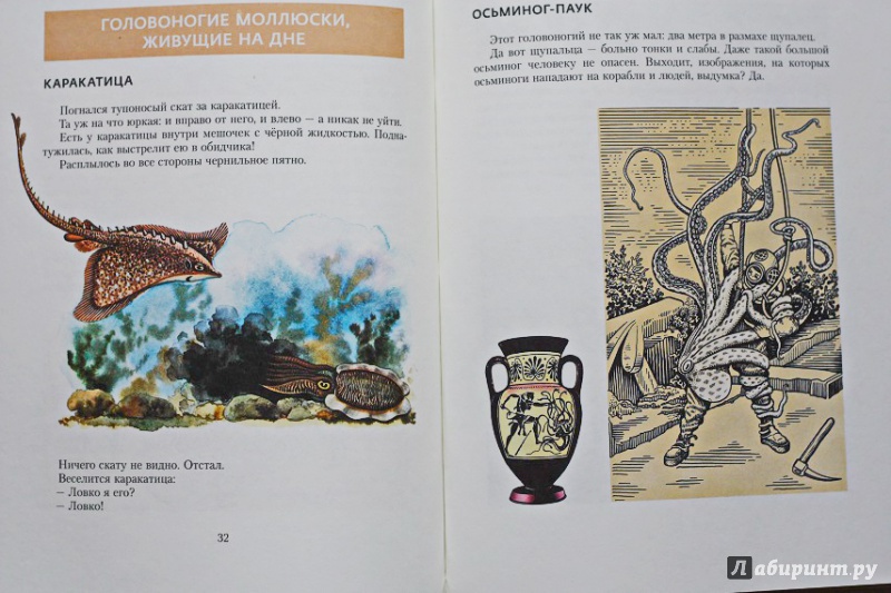 Иллюстрация 22 из 27 для В мире дельфина и осьминога - Святослав Сахарнов | Лабиринт - книги. Источник: Акико