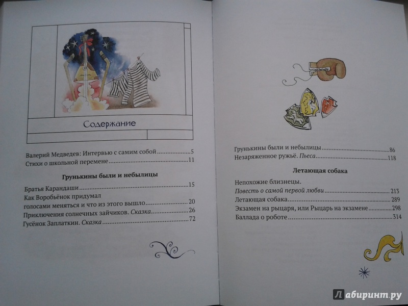 Иллюстрация 27 из 38 для Звонок на перемену - Валерий Медведев | Лабиринт - книги. Источник: Olga