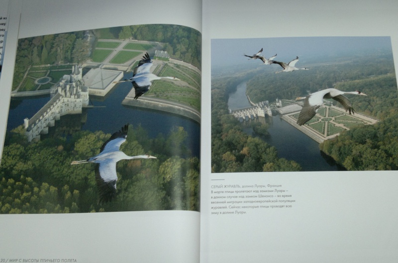 Иллюстрация 10 из 45 для Мир с высоты птичьего полета - Джон Доунер | Лабиринт - книги. Источник: Леонид Сергеев