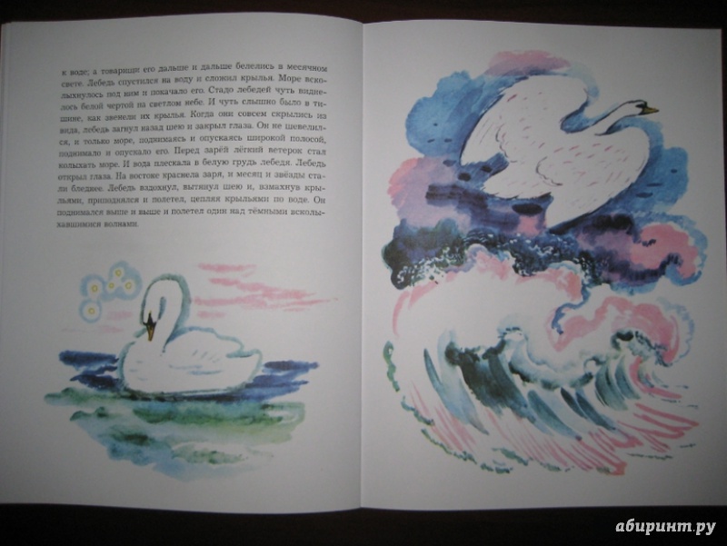 Иллюстрация 27 из 48 для О животных и птицах - Лев Толстой | Лабиринт - книги. Источник: Никoль