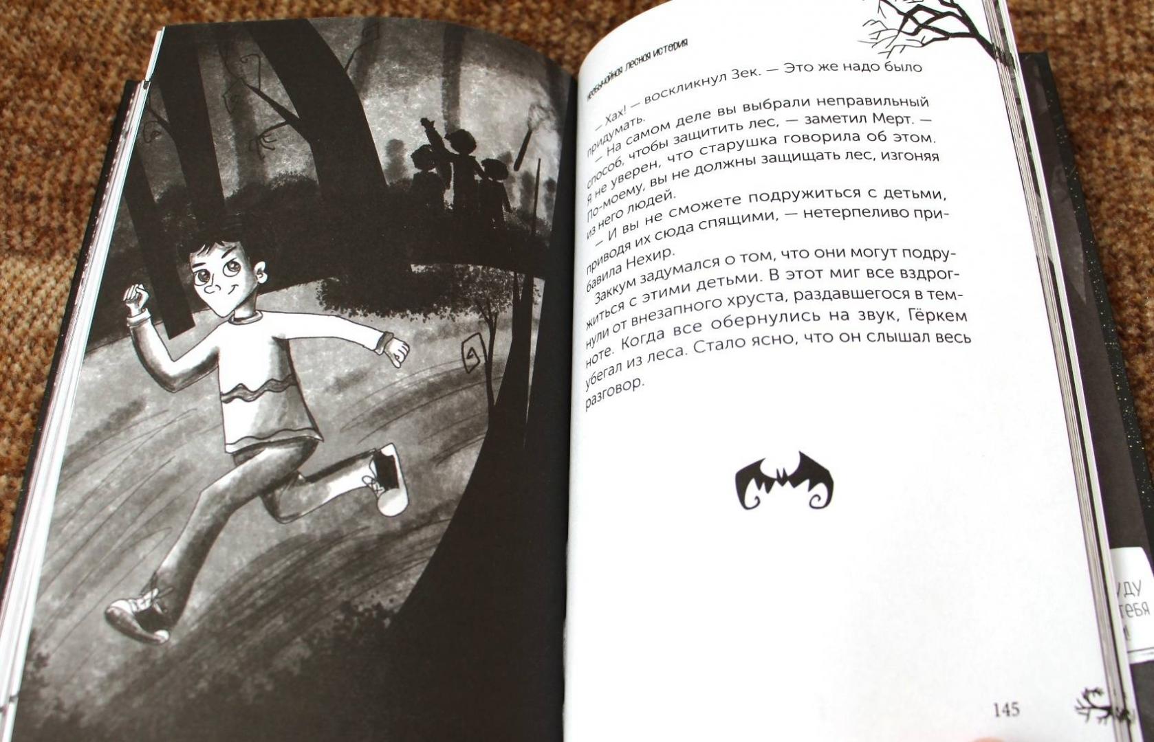 Иллюстрация 18 из 27 для Мальчик с угрюмым лицом, или Необычайная лесная история - Нур Домбайджи | Лабиринт - книги. Источник: Мама-Почитайка