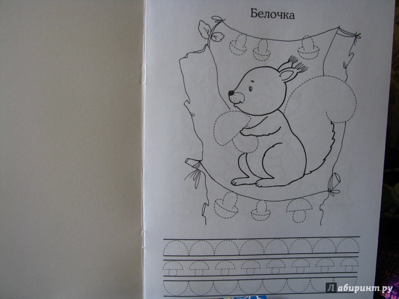 Иллюстрация 6 из 10 для Прописи: Лесные зверюшки - И. Попова | Лабиринт - книги. Источник: AnastasiaK