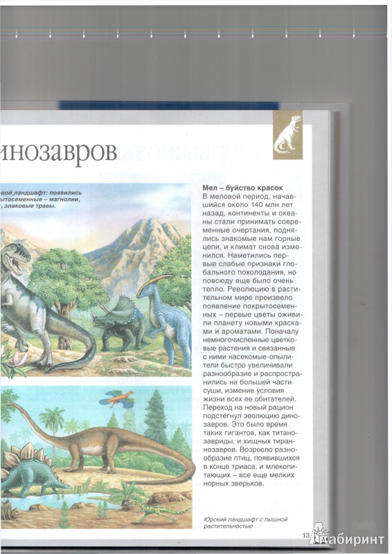 Иллюстрация 10 из 36 для Динозавры - Лора Камбурнак | Лабиринт - книги. Источник: Юлия Короткова