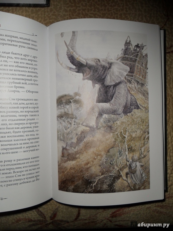 Иллюстрация 28 из 30 для Властелин колец. Две твердыни - Толкин Джон Рональд Руэл | Лабиринт - книги. Источник: D