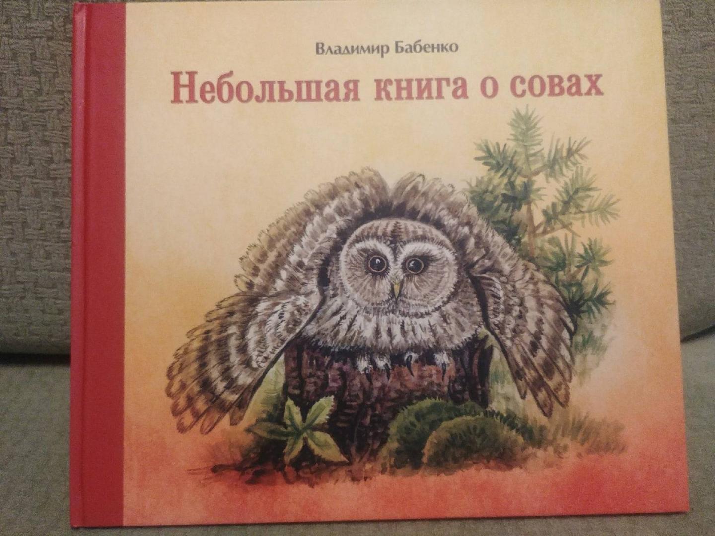 Иллюстрация 10 из 11 для Небольшая книга о совах - Владимир Бабенко | Лабиринт - книги. Источник: Лабиринт