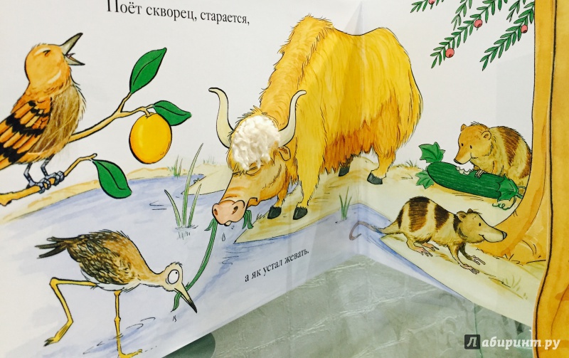 Иллюстрация 52 из 70 для Зоопарк - Флит Ван | Лабиринт - книги. Источник: Слюсарева  Екатерина
