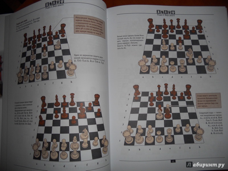 Иллюстрация 6 из 12 для Шахматы. Самый полный самоучитель для начинающих | Лабиринт - книги. Источник: alla_nov