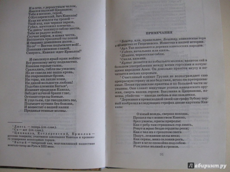 Иллюстрация 18 из 27 для Поэмы - Александр Пушкин | Лабиринт - книги. Источник: В.