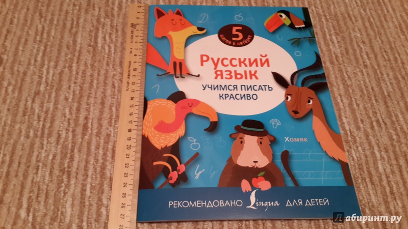 Иллюстрация 4 из 11 для Русский язык. Учимся писать красиво | Лабиринт - книги. Источник: Аленна
