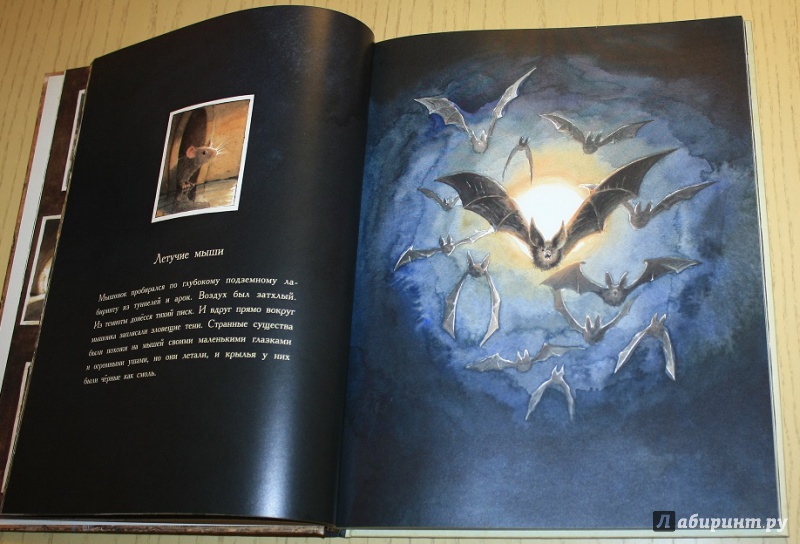 Иллюстрация 16 из 149 для Линдберг. Невероятные приключения летающего мышонка - Торбен Кульманн | Лабиринт - книги. Источник: КНИЖНОЕ ДЕТСТВО