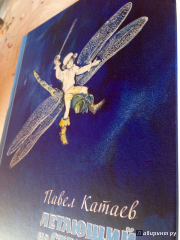 Иллюстрация 15 из 43 для Летающий на стрекозе - Павел Катаев | Лабиринт - книги. Источник: Псевдоним