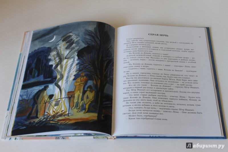 Иллюстрация 31 из 33 для Воробьиное озеро - Юрий Коваль | Лабиринт - книги. Источник: По страницам детских книг