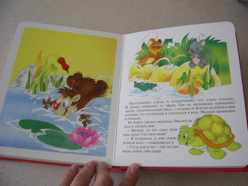 Иллюстрация 15 из 29 для Сказки с опушки. Окошко в лес | Лабиринт - книги. Источник: Лилианна