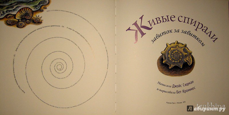 Иллюстрация 45 из 65 для Живые спирали - Джойс Сидман | Лабиринт - книги. Источник: Трухина Ирина