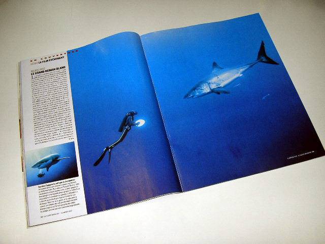 Иллюстрация 21 из 40 для Океаны (DVD+Blu-ray) - Перрен, Клюзо | Лабиринт - . Источник: Валерия