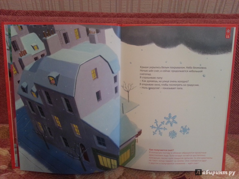 Иллюстрация 11 из 20 для Красная книга зимы - Софи Кушарьер | Лабиринт - книги. Источник: Видяева Юлия